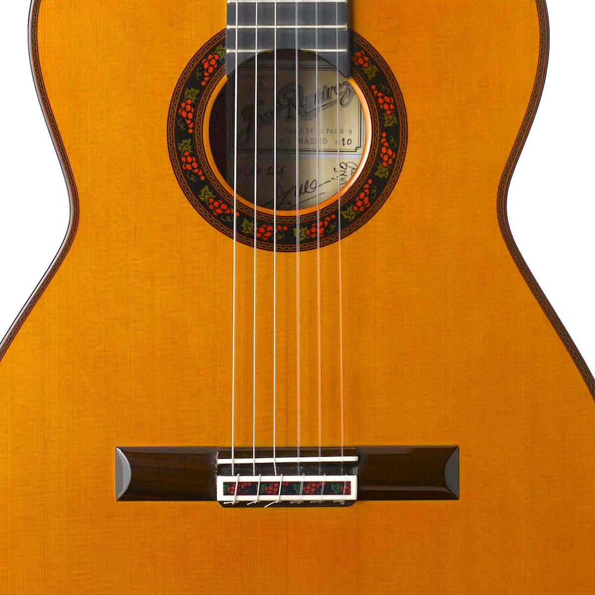 tr-delvino-2.jpg